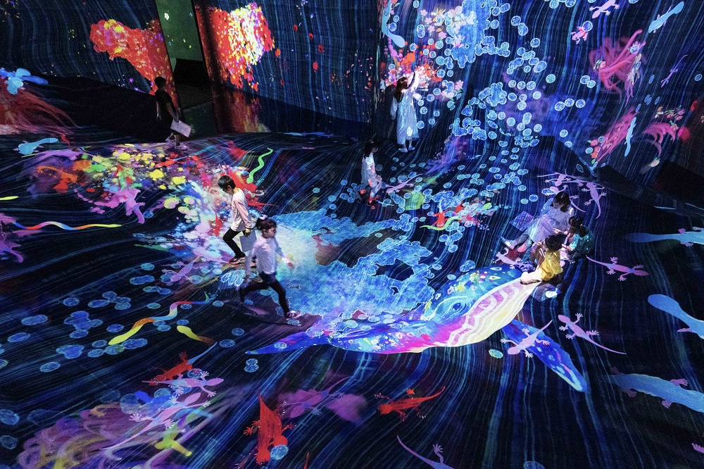 場景／teamLab 共創！未來園 台北／展覽／科教館／台北／台灣