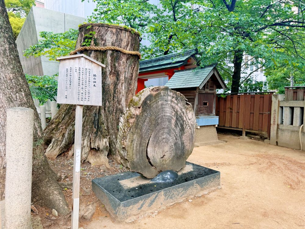 外觀／楠の神木／生田神社／神戶／日本