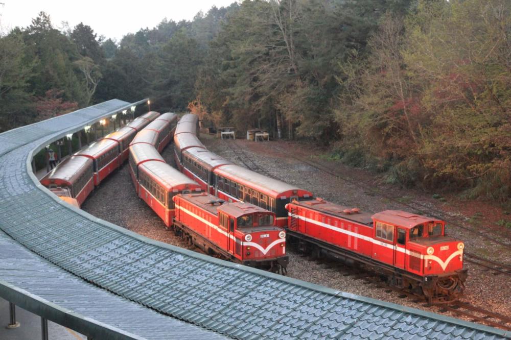 阿里山林鐵/阿里山小火車/阿里山火車/福森號/栩悅號/檜來嘉驛/購票方式/阿里山三大主題鐵路