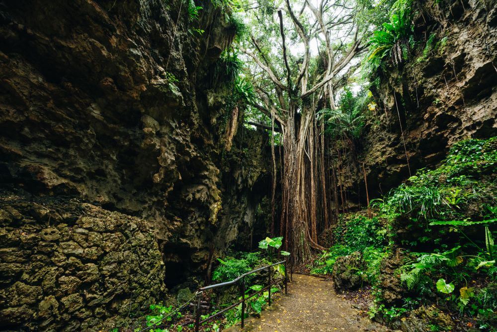 風景／GANGALA 之谷／沖繩／日本