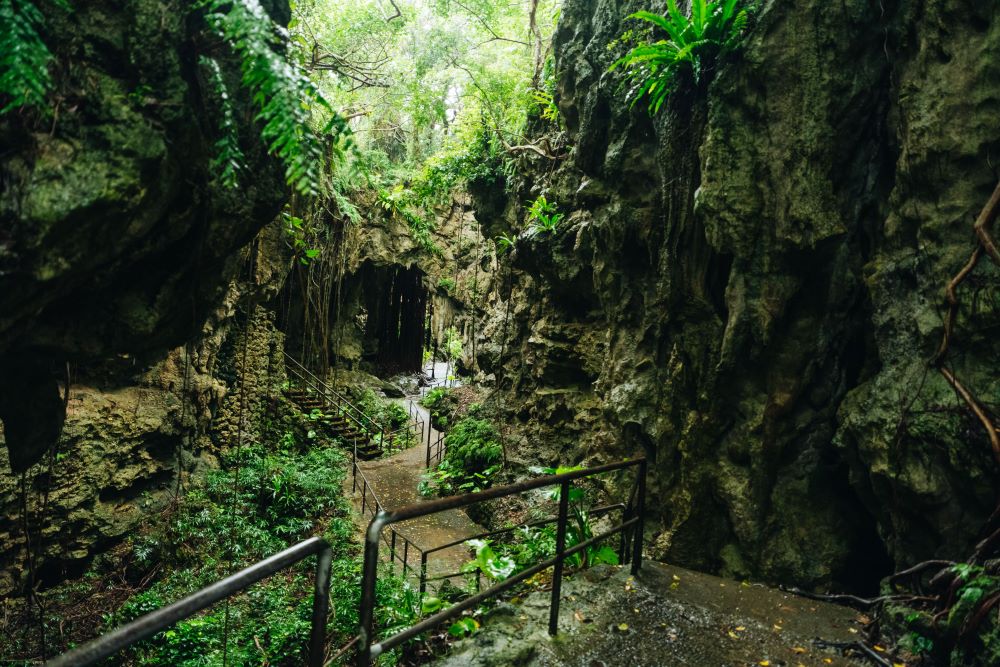 風景／GANGALA 之谷／沖繩／日本