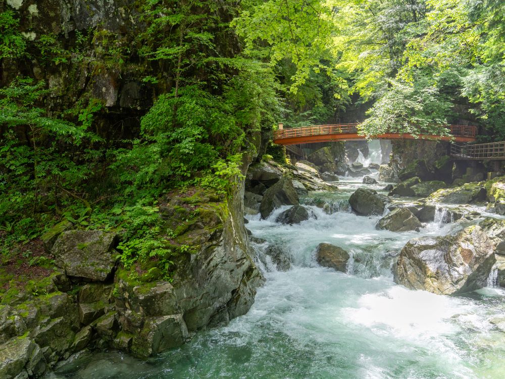 順遊風景／昇龍道巴士周遊券／日本