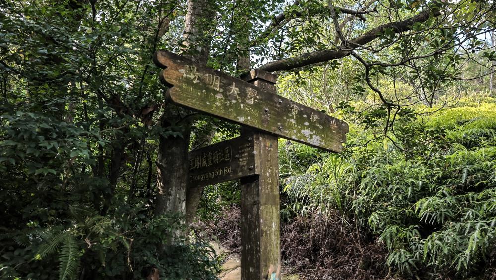 風景／弘法大師岩／步道／台北／台灣