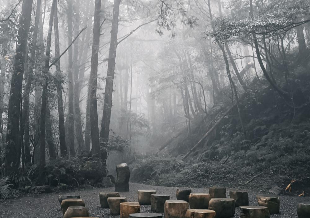 場景／阿里山秋日黑森林派對／活動／嘉義／台灣