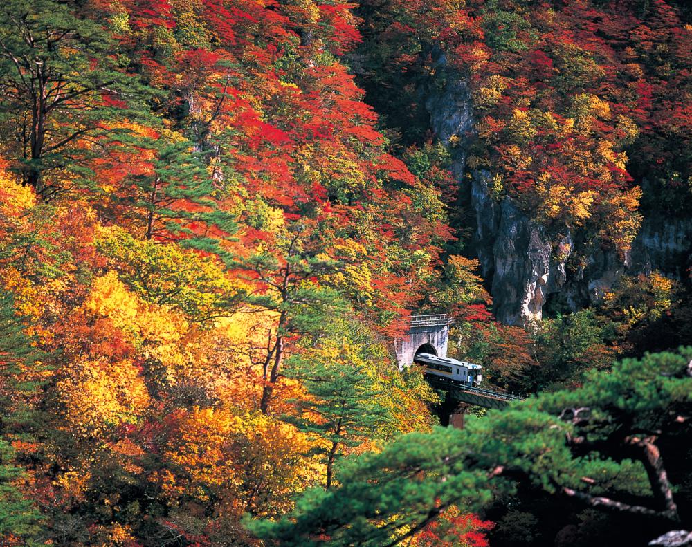 賞楓景點／JR 東日本／東北／日本