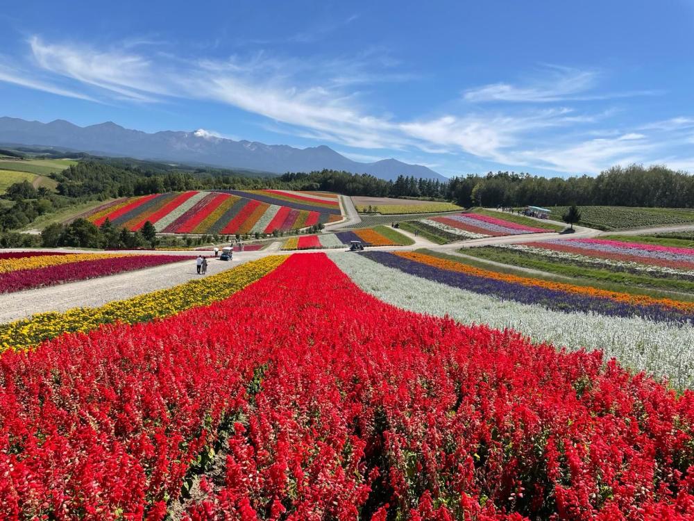 風景／諾佐酒店／飯店／北海道／日本