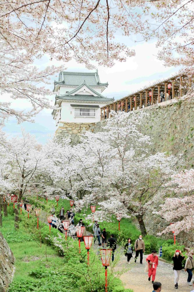 旅遊景點圖／日本航空／日本