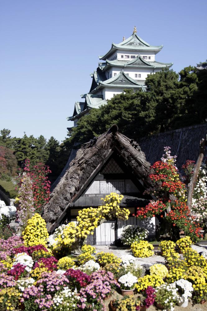 旅遊景點圖／日本航空／日本