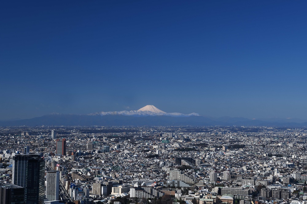 風景／SHIBUYA SKY／露天展望台／澀谷／東京