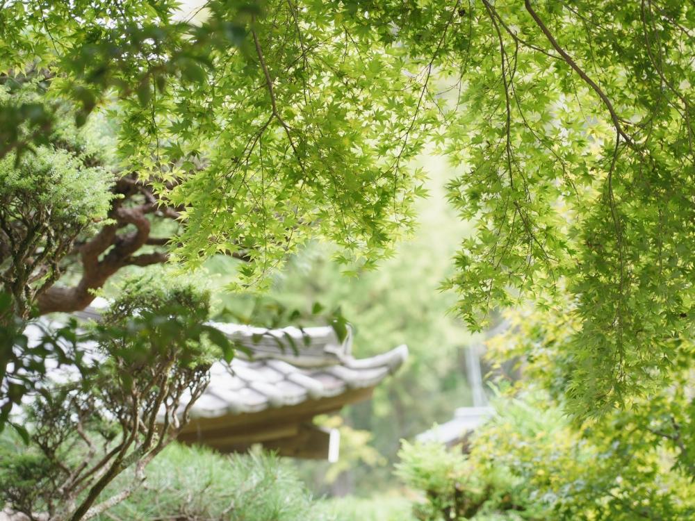 旅遊風景／埼玉／日本