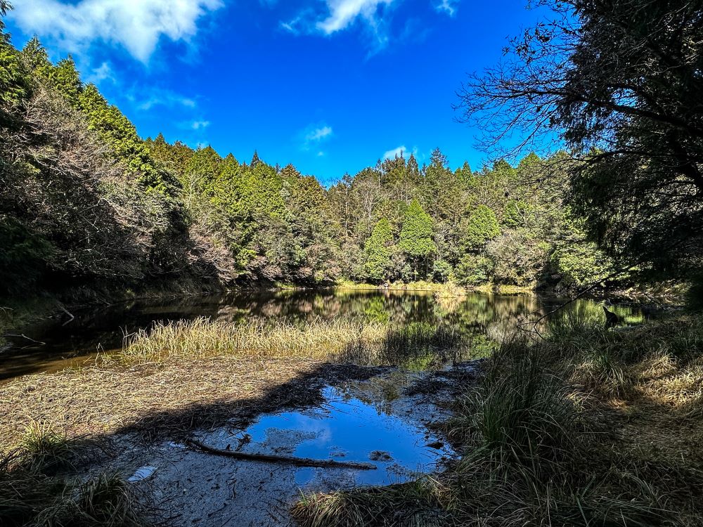 風景／舊太平山加羅神社／宜蘭