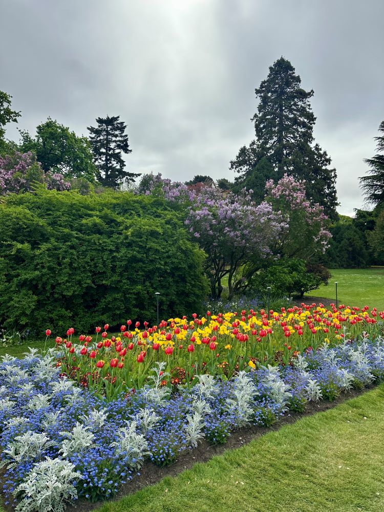 風景／花園／基督城／紐西蘭