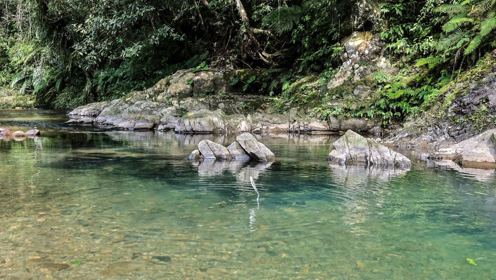 風景／金瓜寮溪魚蕨步道／新北