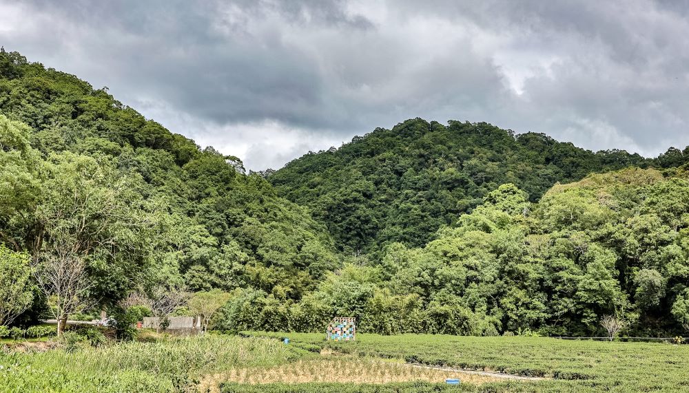 風景／金瓜寮溪魚蕨步道／新北