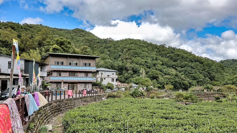 風景／金瓜寮溪魚蕨步道／新北