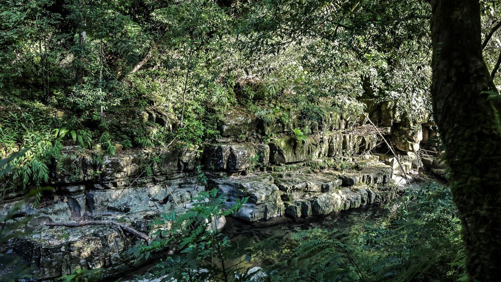 風景／金瓜寮溪魚蕨步道／新北