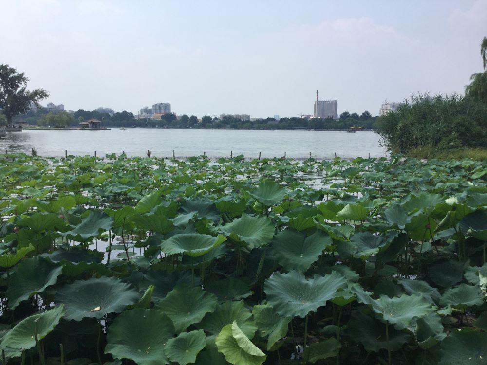 風景／周邊景點／中國