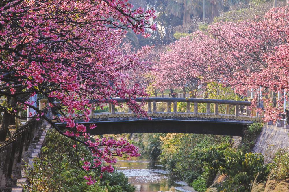 風景／沖繩／日本