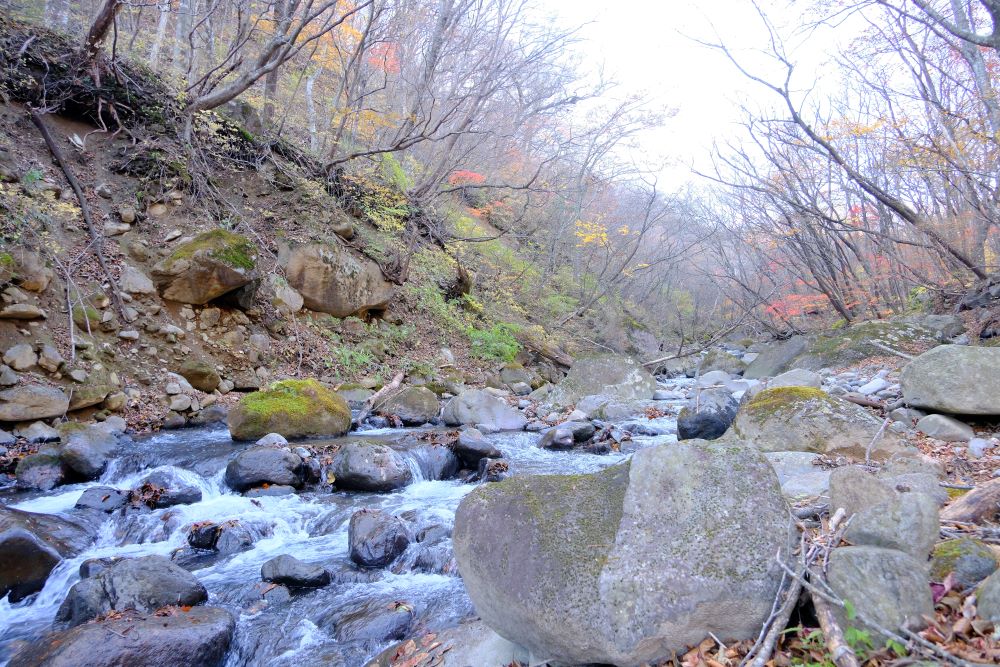 風景／平成之森／賞風景點／栃木縣／日本