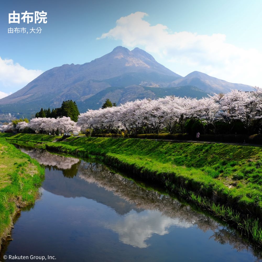 櫻花風景／日本