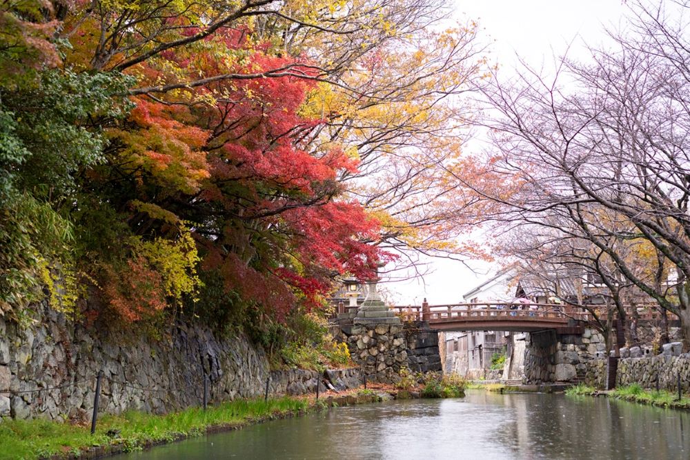 風景／滋賀縣／日本