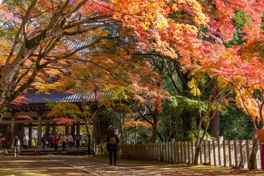 風景／滋賀縣／日本