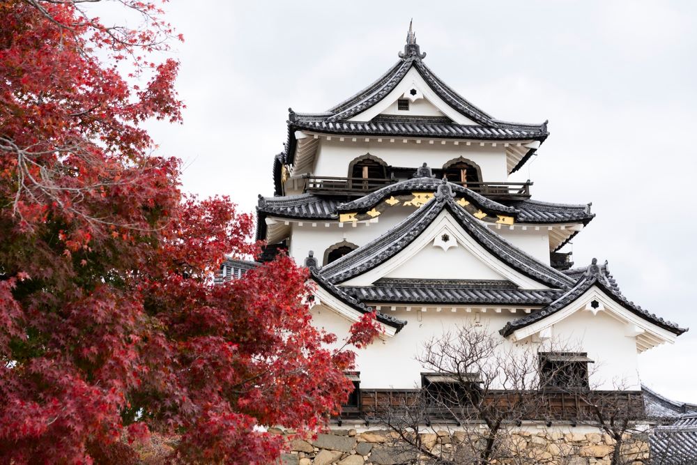 風景／滋賀縣／日本