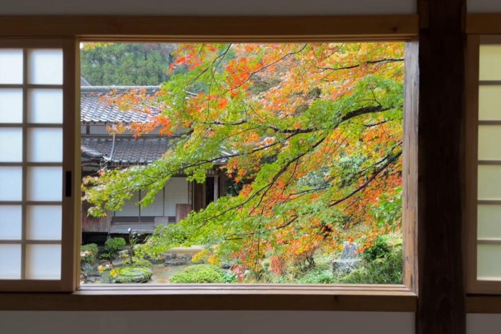 風景／但馬小京都／城崎溫泉／兵庫縣／日本