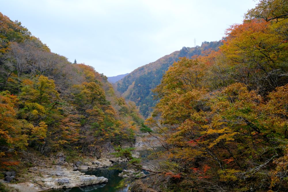 日本婚紗攝影／日本拍婚攝／東武拓博旅行社／日本拍婚紗