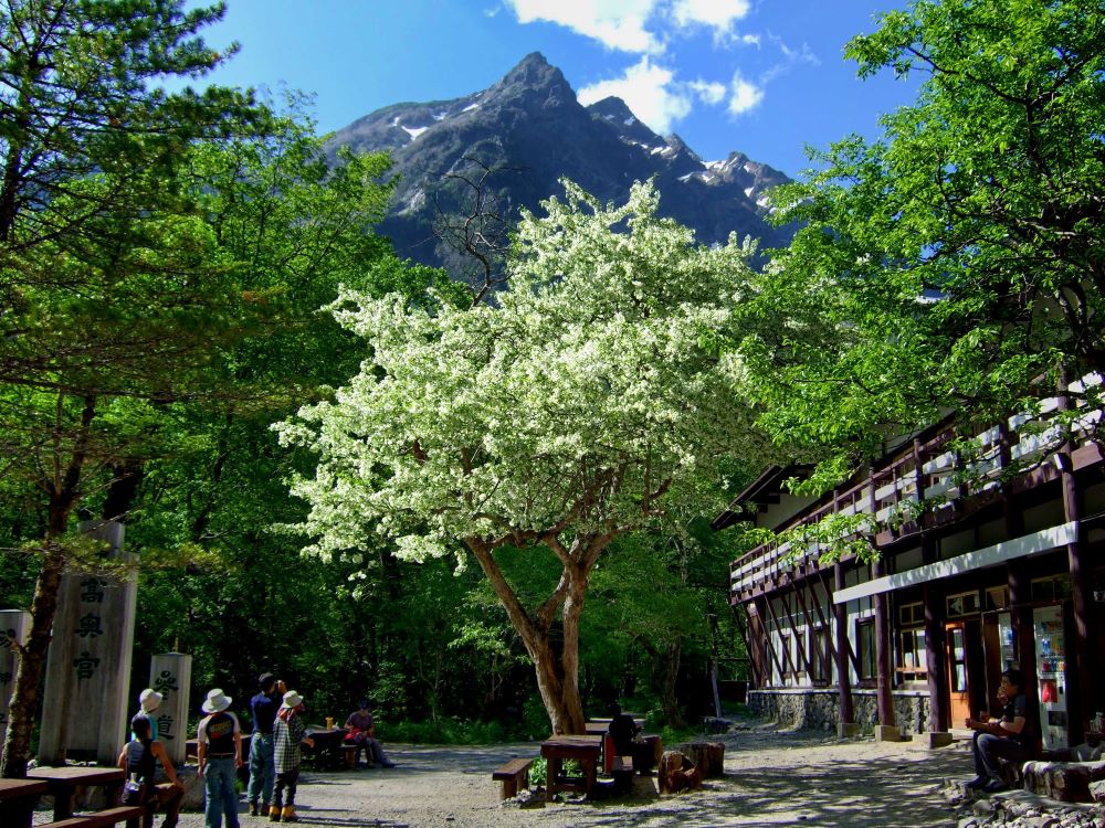 外觀／上高地明神館／飯店／長野／日本