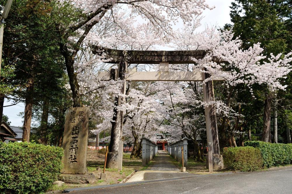 賞櫻風景／出石城跡／城崎溫泉／日本