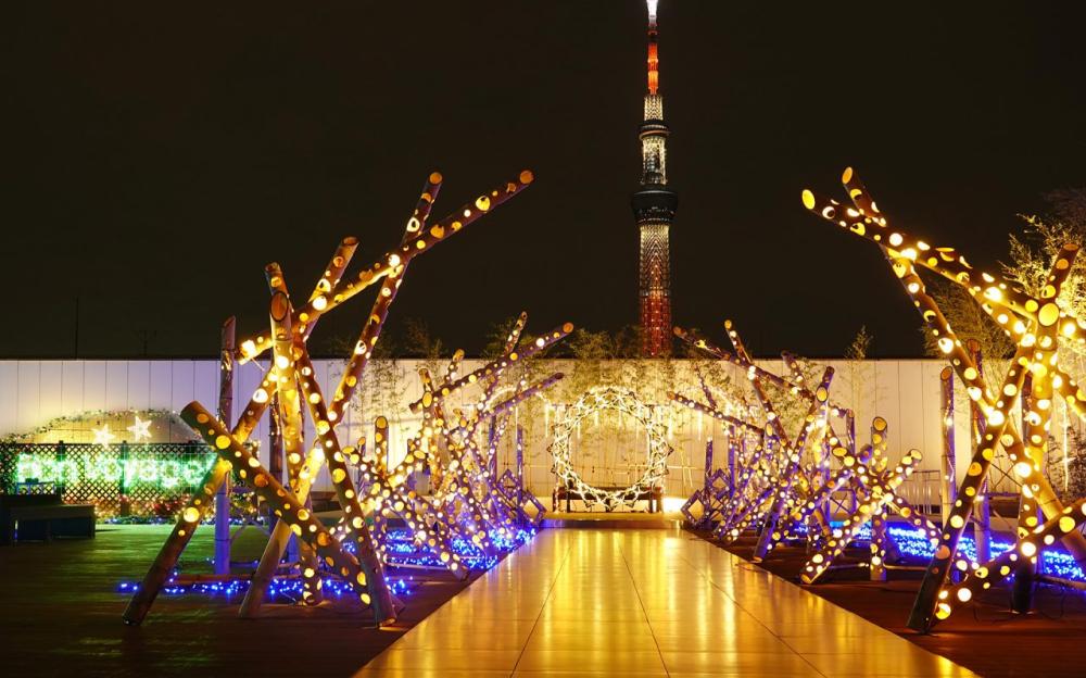 晴空塔夜景/東京黎凡特東武酒店/飯店/東京/日本