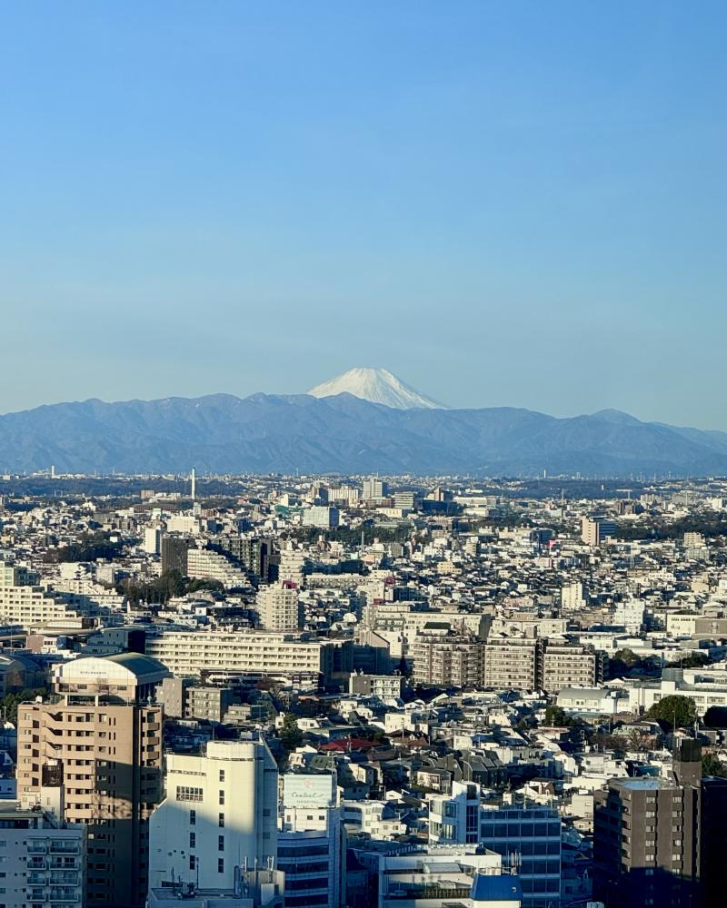 周邊風景/東京澀谷英迪格酒/飯店/東京/日本