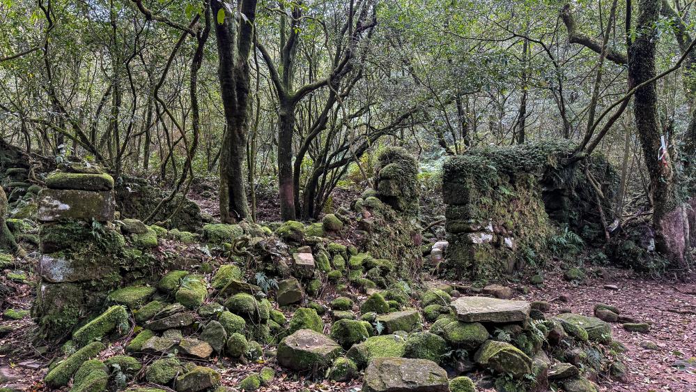沿途風景/陽明山/台北