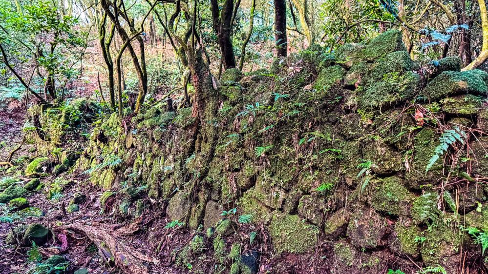 沿途風景/陽明山/台北