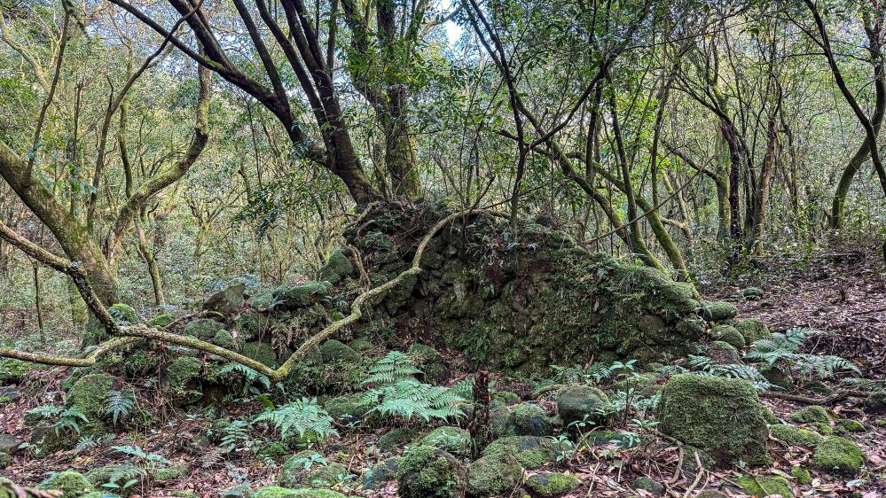 沿途風景/陽明山/台北