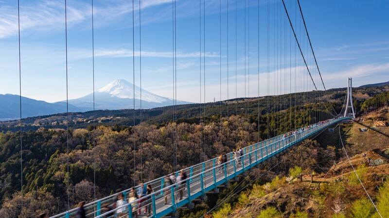 風景/富士山/日本