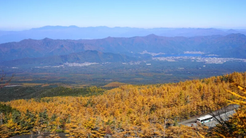 順遊風景/富士山/日本
