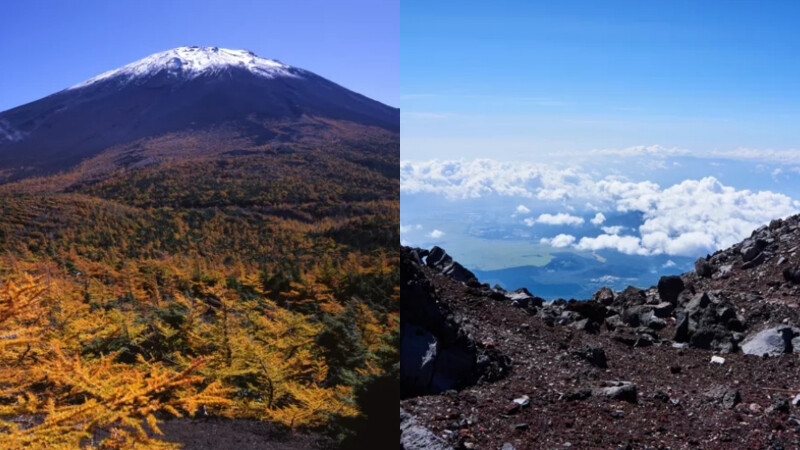 風景/富士山/日本