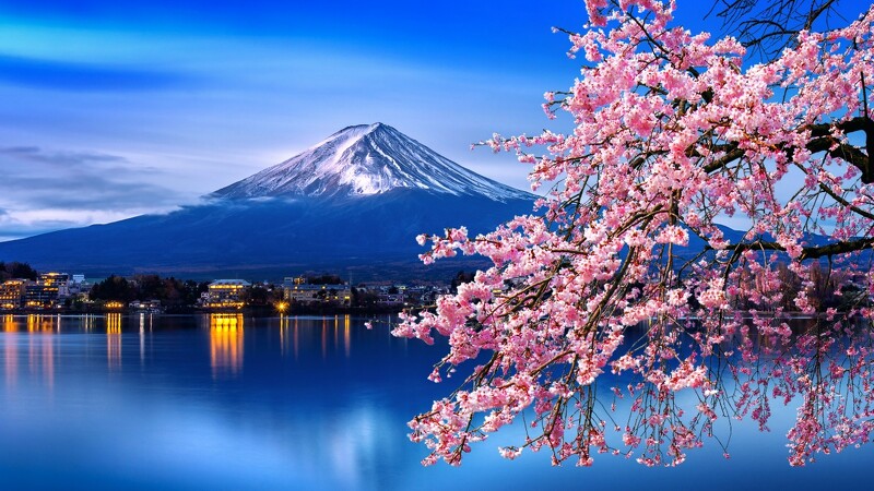 風景/富士山/日本