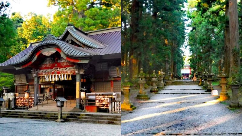 順遊風景/富士山/日本
