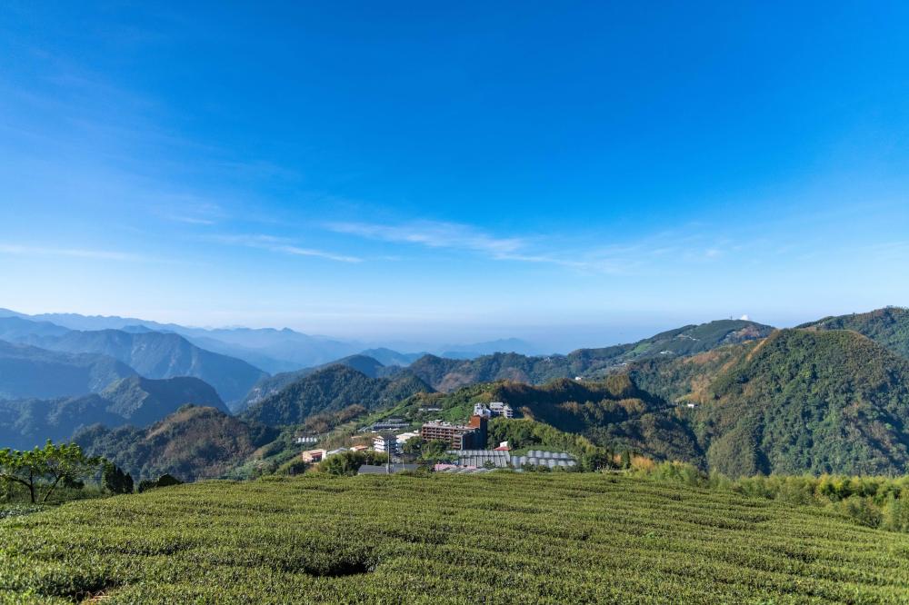 周邊風景/阿里山英迪格酒店/飯店/嘉義