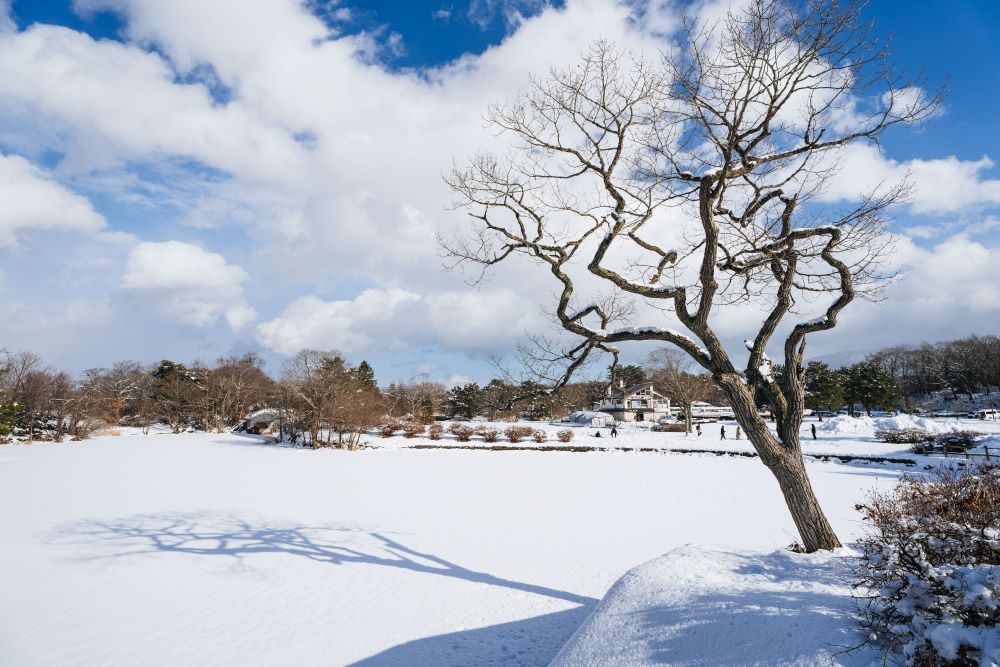 場景/大沼國定公園/北海道/日本