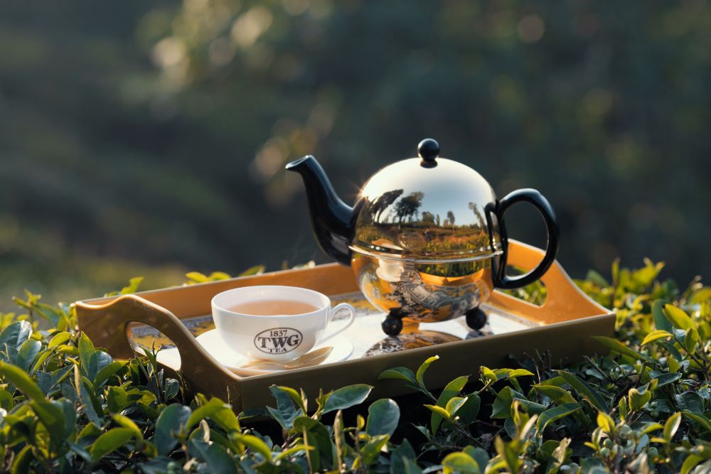 永續茶旅行動/茶葉/TWG Tea