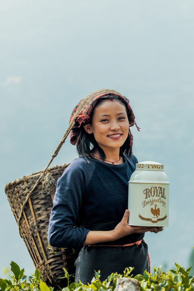 永續茶旅行動/茶葉/TWG Tea