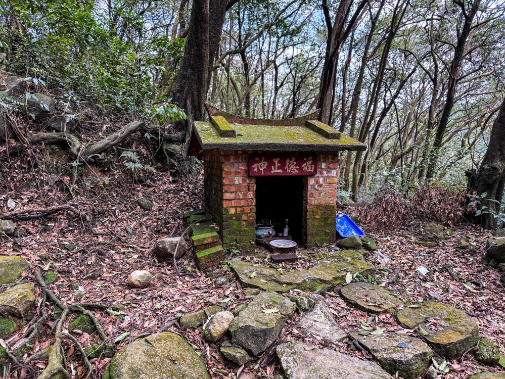 風景/陽明山/台北