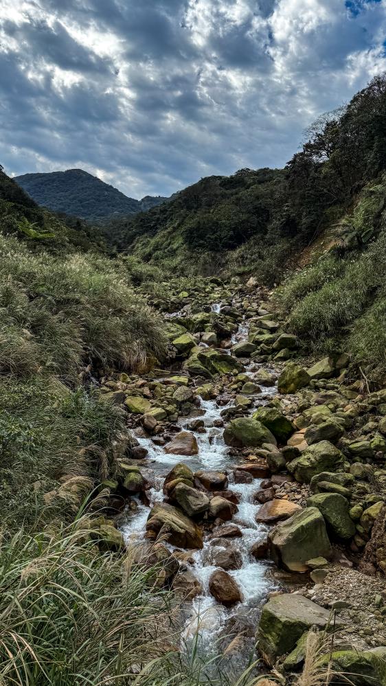 風景/陽明山/台北