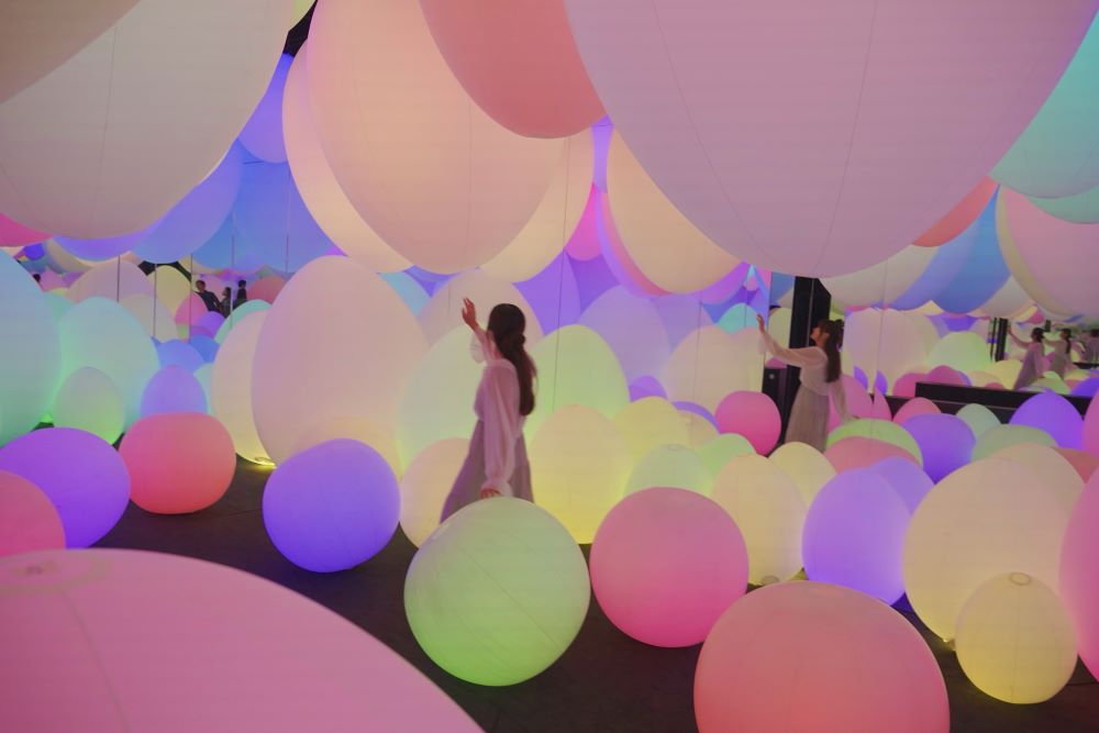 場景／teamLab 共創！未來園 高雄／展覽／高雄國立科學工藝博物館／高雄