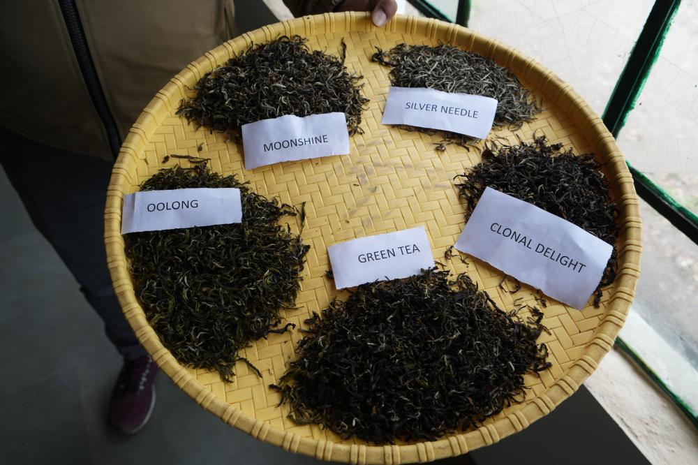 茶體驗/印度