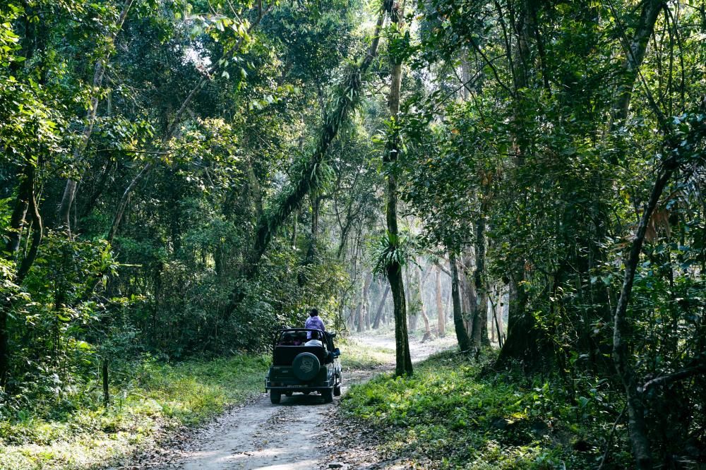 汽車風景/印度